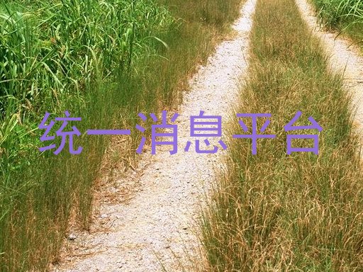 统一消息平台