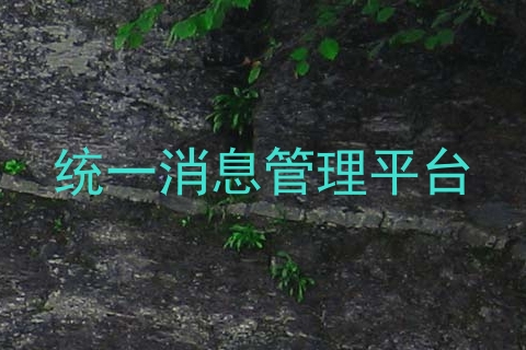 统一消息管理平台