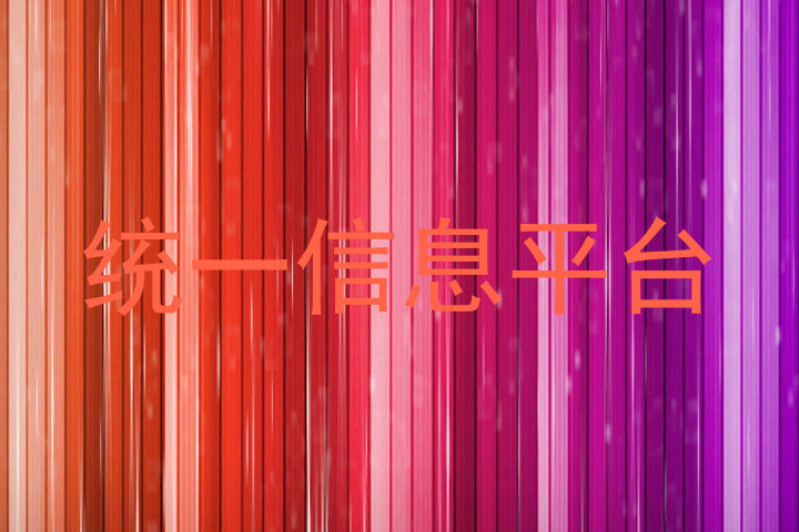 统一信息平台