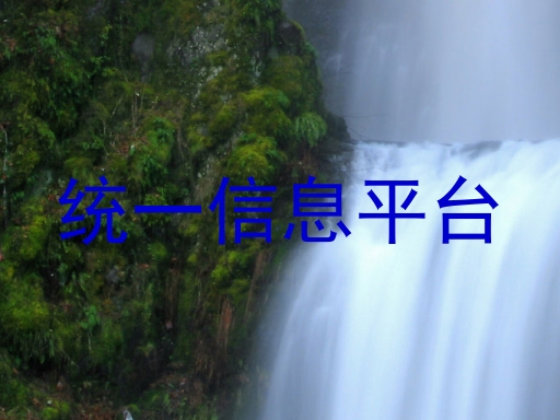 统一信息平台