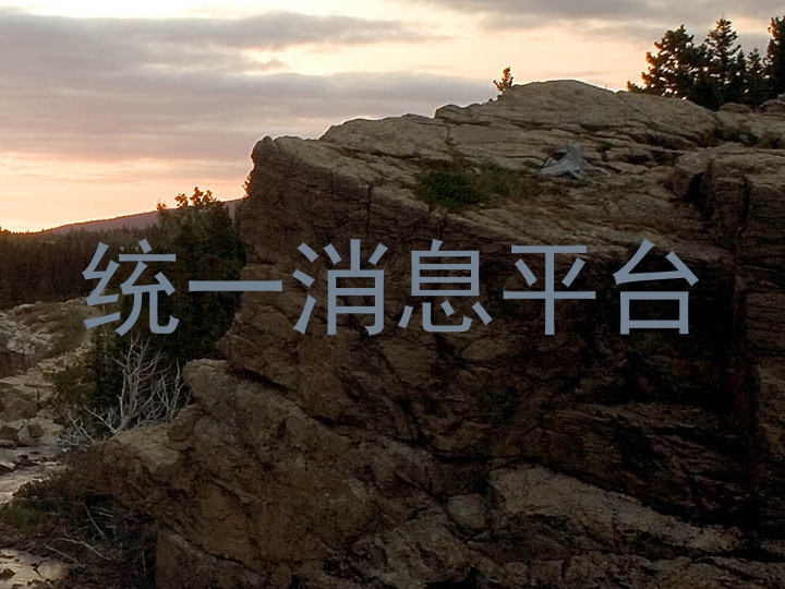 统一消息平台