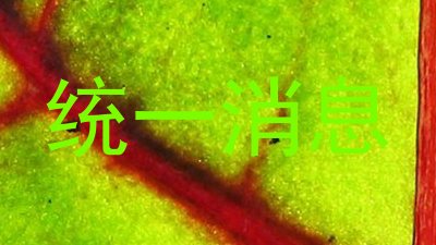 统一消息