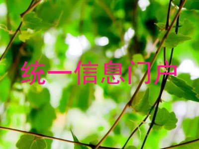 统一信息门户