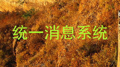统一消息系统