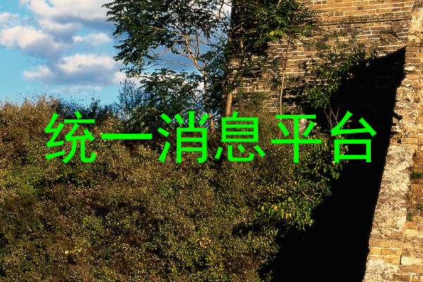 统一消息平台