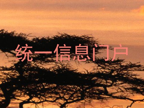 统一信息门户