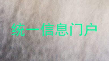 统一信息门户