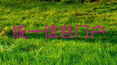 统一信息门户