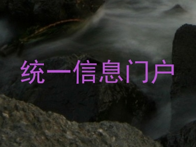 统一信息门户