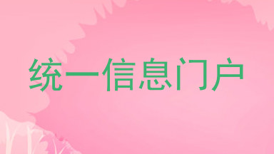 统一信息门户
