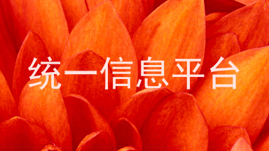 统一信息平台