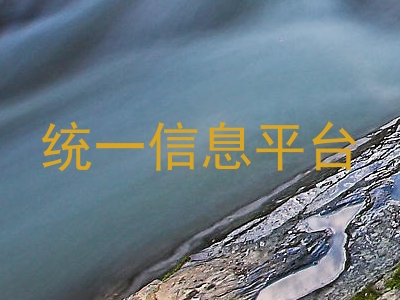 统一信息平台