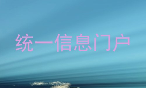 统一信息门户