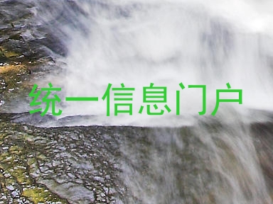 统一信息门户
