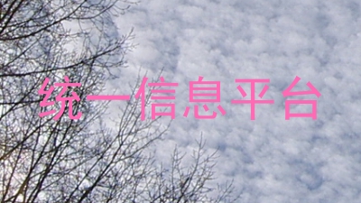 统一信息平台