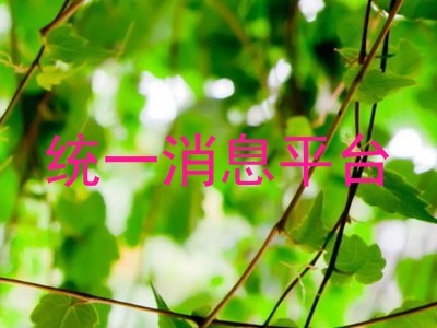 统一消息平台