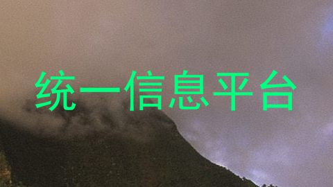 统一信息平台