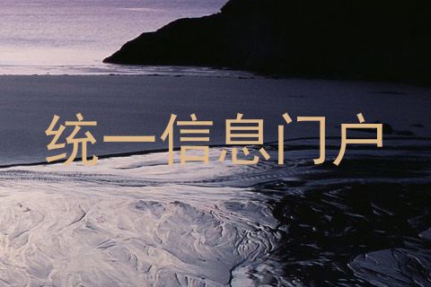 统一信息门户