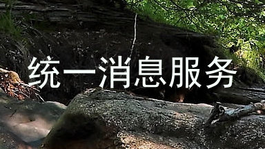 统一消息服务