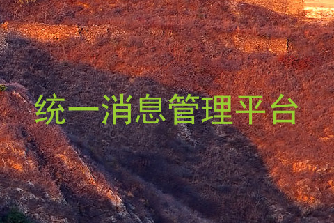 统一消息管理平台