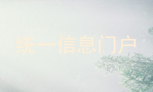 统一信息门户