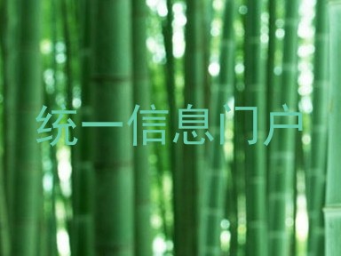 统一信息门户