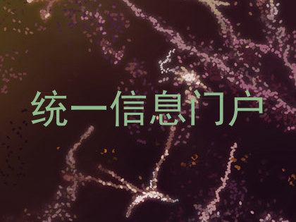 统一信息门户