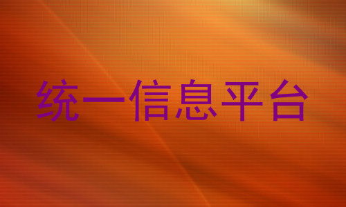 统一信息平台