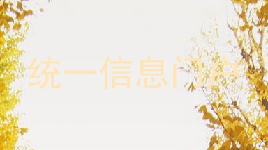 统一信息门户