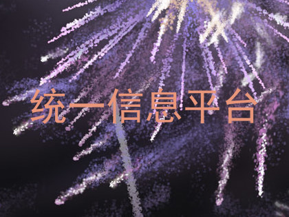 统一信息平台