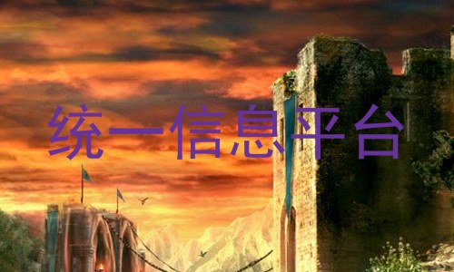 统一信息平台