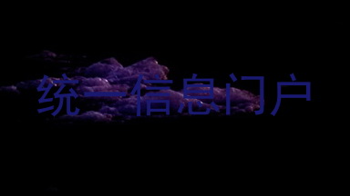 统一信息门户
