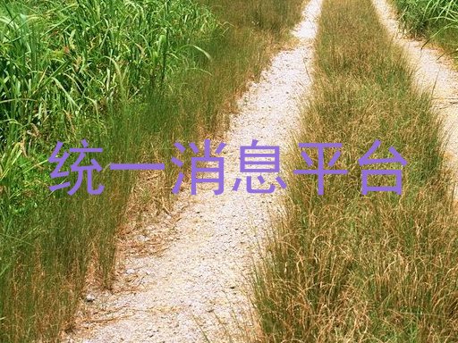 统一消息平台