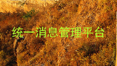 统一消息管理平台