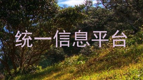 统一信息平台