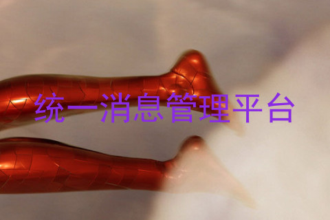统一消息管理平台