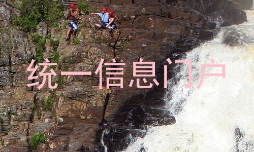 统一信息门户