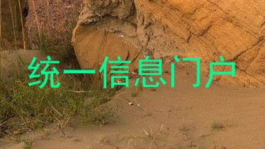 统一信息门户