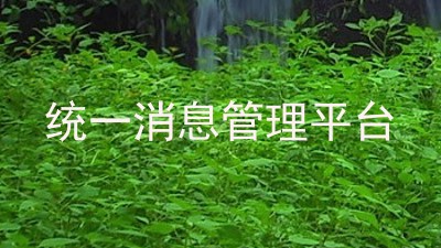统一消息管理平台
