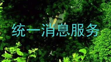 统一消息服务