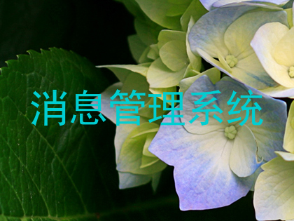消息管理系统
