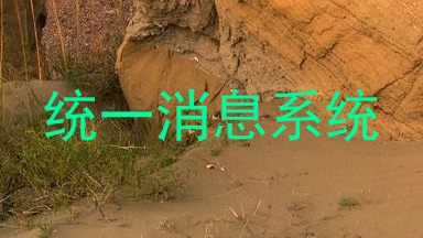统一消息系统