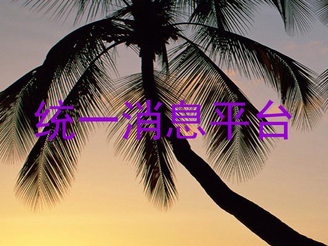 统一消息平台