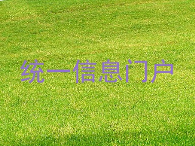 统一信息门户