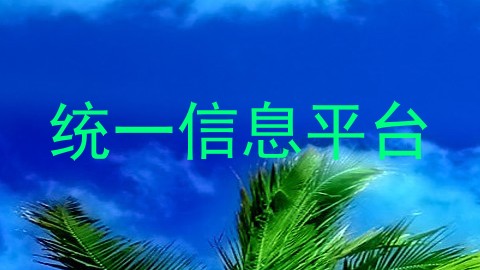 统一信息平台