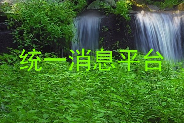 统一消息平台