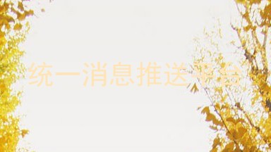 统一消息推送平台