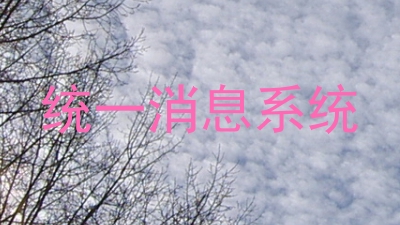 统一消息系统