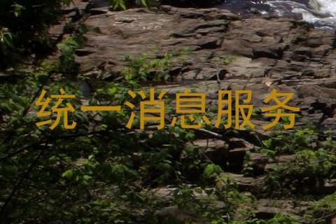 统一消息服务