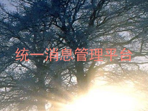 统一消息管理平台